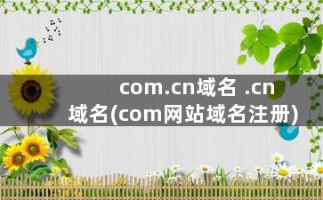 com.cn域名 .cn域名(com网站域名注册)